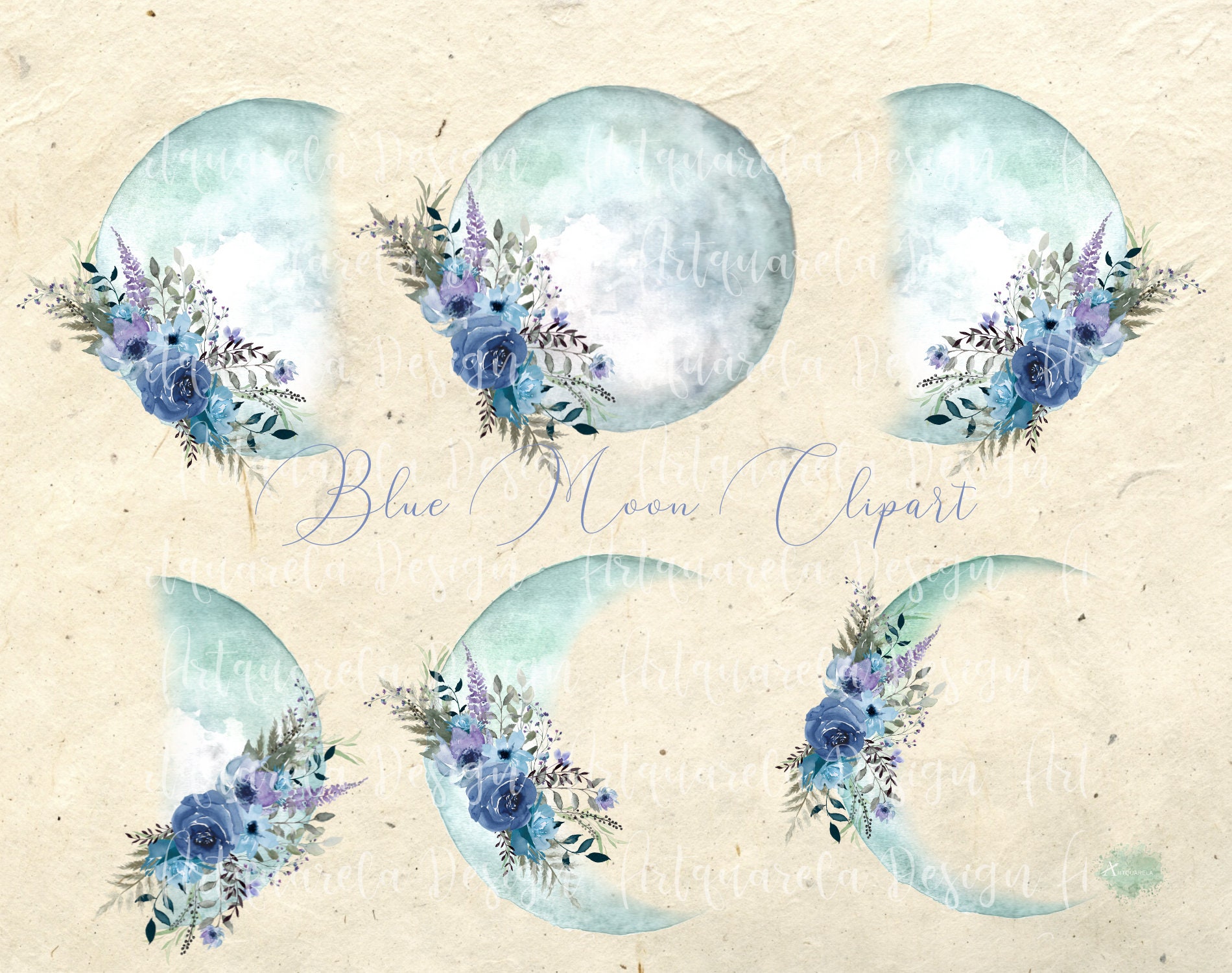 Moon Phase Roses Watercolor Floral Moon Phases Clipart: Blue Roses (PNG Digital Download ...