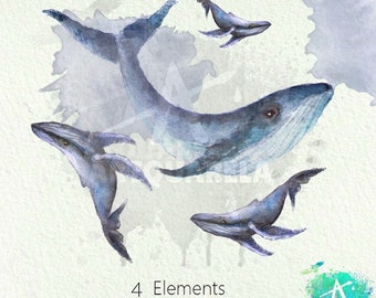 Ballena en acuarela, animales marinos, peces PNG (descarga digital)