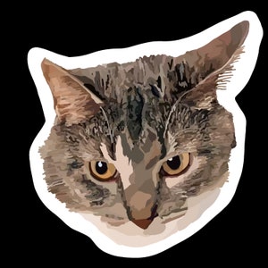 Custom Sticker | Custom Pet Sticker