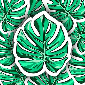 Botanical Sticker | Monster Leaf Sticker