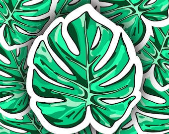 Botanical Sticker | Monster Leaf Sticker