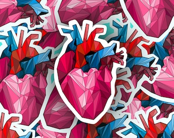 Geometric Anatomical Heart Sticker | Medical Sticker | Heart Sticker