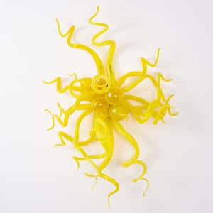 Hand Blown Glass Wall Sculpture
