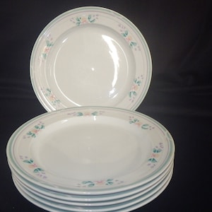 Stoneware Dinner Plates Soho Expression FAIRWINDS 6 10.75&quot; round plates
