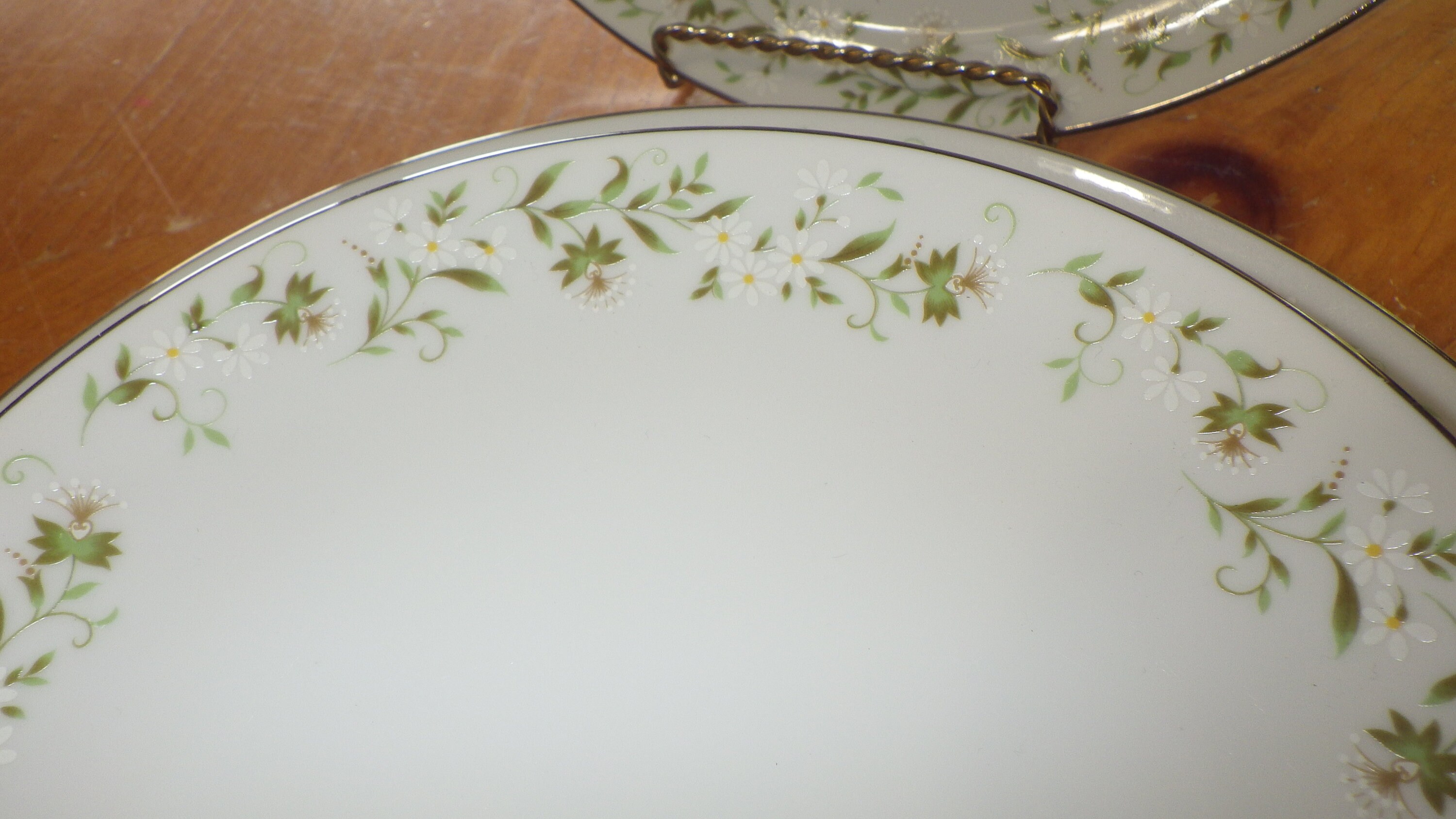 MIKASA Rambling Fine China Dinnerware Set: Platinum Rim, Service