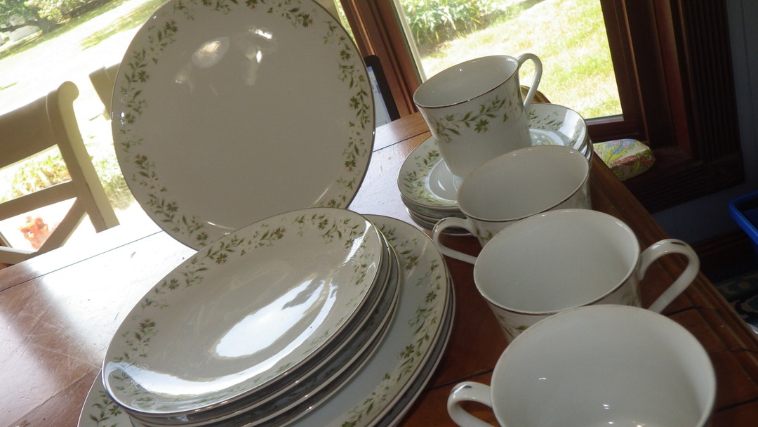 MIKASA Rambling Fine China Dinnerware Set: Platinum Rim, Service