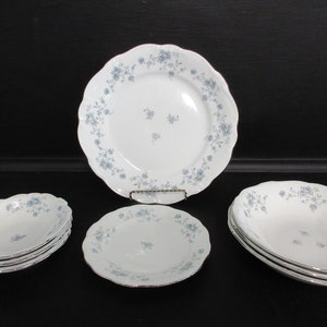 Vintage Blue Garland China JOHANN HAVILAND diner brood bord soepkom fruit/saus kommen 8 stuks in totaal