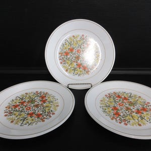 Indian Summer Salatteller Corelle 5 8,5 &quot;Runde Dessertteller von Corning EUC