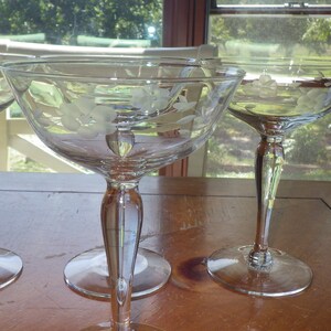 Etched Champagne Glasses Tall sherbets 4 6 oz bulb stem glasses