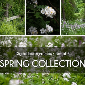 Spring Collection • Digital Backgrounds • Spring Fence, White Flowers Black Forest, Flower Forest, and Field of Flowers • Set of 4