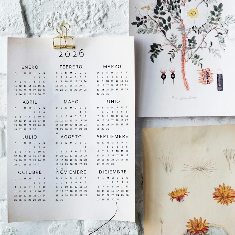 May include: A 2026 calendar with monthly Spanish titles, held by a gold clip. The calendar pages are white with black text, displaying dates and days. Botanical illustrations are visible on adjacent pages.