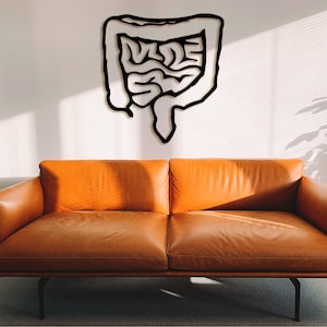 May include: A brown leather sofa with a white outline of a human intestine on the wall behind it.