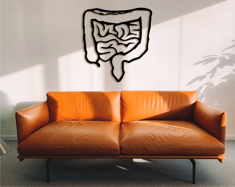 May include: A brown leather sofa with a white outline of a human intestine on the wall behind it.