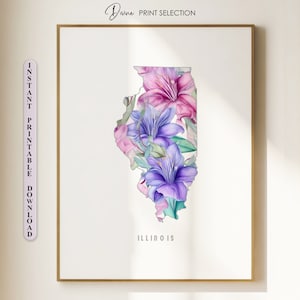Stampa della mappa dell'Illinois Illinois Poster Wall Art Living Room Decor Arte digitale stampabile Stampa floreale Mappa dell'Illinois Regalo per gli amici