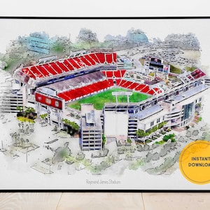Tampa Bay Buccaneers Poster, Raymond James Stadium Print, Buccaneers Poster, Printable Art, Gift for Him, Groomsmen Gift