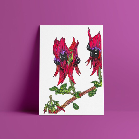 Australia Botanical Prints Art Pea Wall Image 0