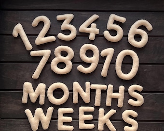 Baby Milestones Numbers Set - Felt Baby Age Milestone - Monthly Milestone - Weekly Milestone