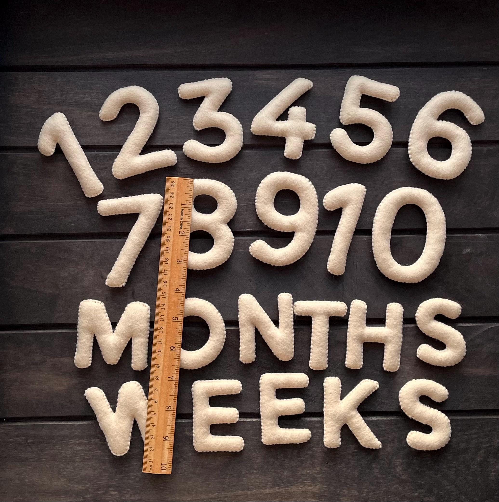Baby Milestones Numbers Set - Felt Baby Age Milestone - Monthly ...