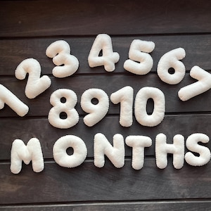 May include: White felt numbers 1 through 10 and the word "MONTHS" on a dark brown wooden background.