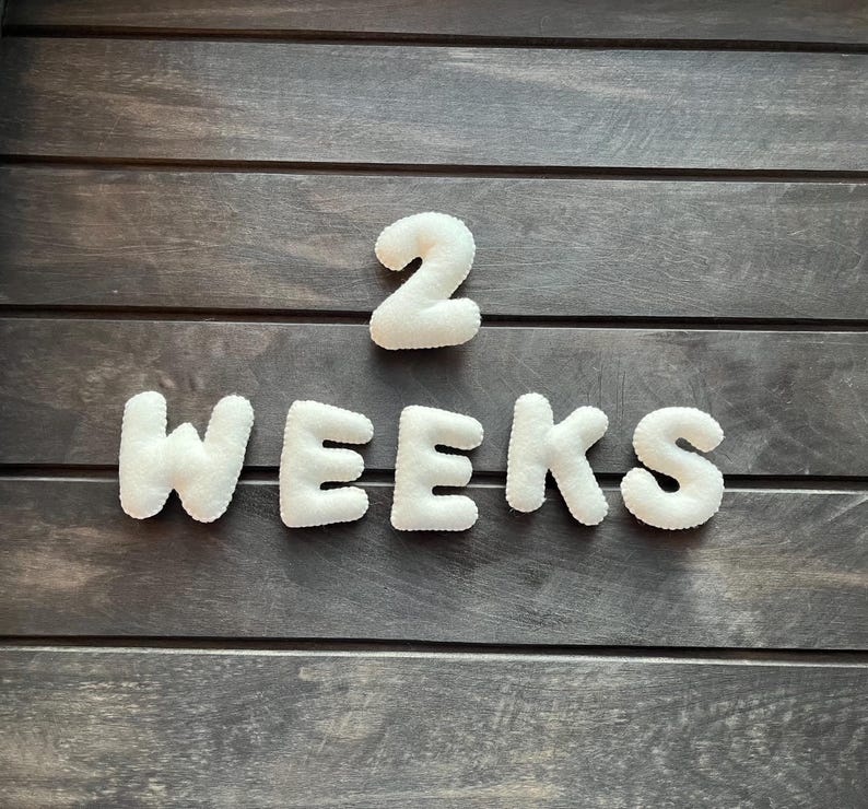 Baby Milestones Gift Set for Expecting Mom - Baby Girl or Boy Milestone - Baby Milestones Set - Baby Photo Numbers - Baby Shower Gift image 10
