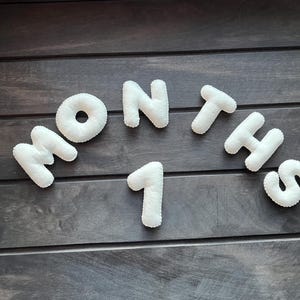 Baby Milestones Gift Set for Expecting Mom - Baby Girl or Boy Milestone - Baby Milestones Set - Baby Photo Numbers - Baby Shower Gift image 7