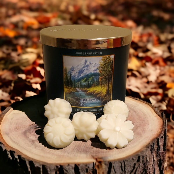 Crisp Morning Air | Wax Melts | Bath and Body Works | The Perfect Gift | Thank You Gift | Party Favors