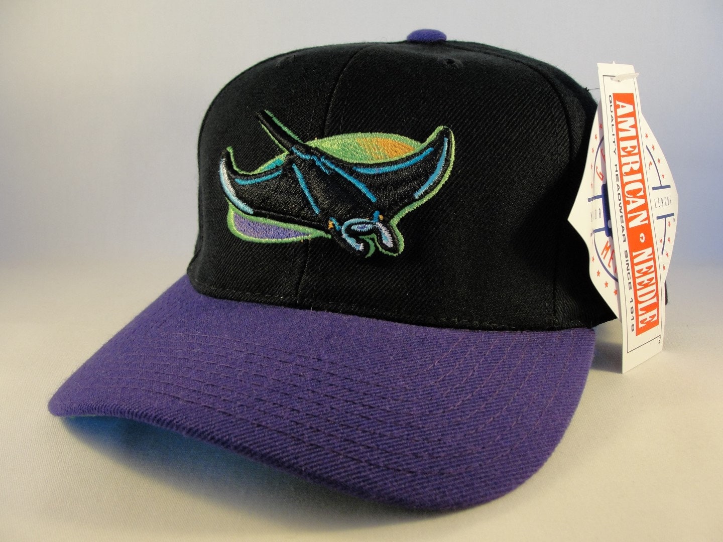 Tampa Bay Devil Rays MLB Vintage Snapback Hat Cap American 