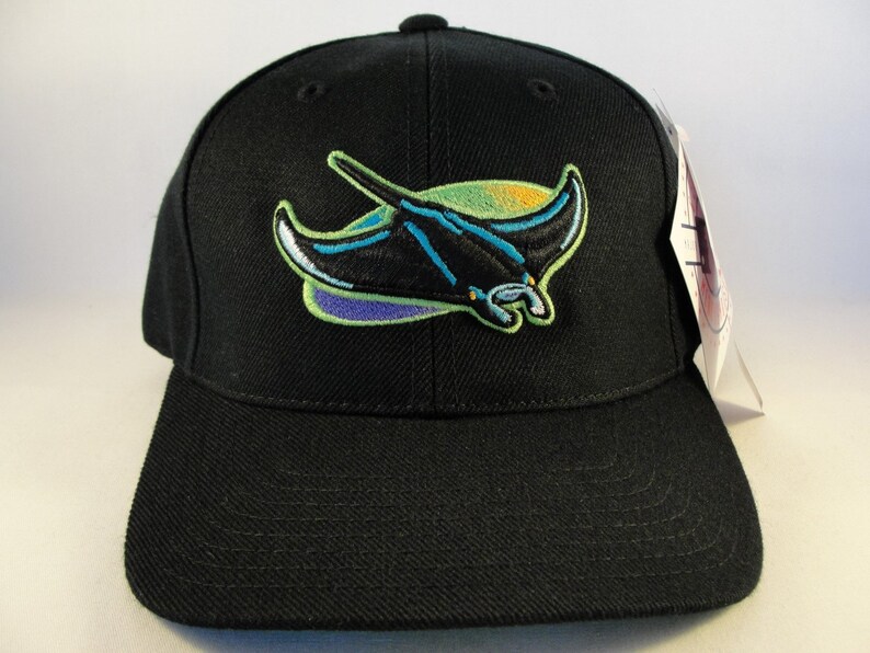 Tampa Bay Devil Rays MLB Vintage Snapback Hat Cap American Etsy