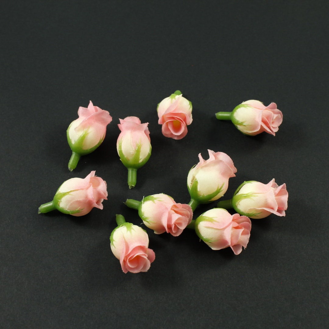 ピンクのバラ つぼみと開花 ピンクのバラのつぼみの写真素材 [110256590]｜毎月1点無料（フリー