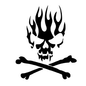 May include: Black and white skull with flames on top and crossed bones underneath.