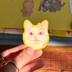 Lustiger Katzenaufkleber | Derpy Katze | Katzen Kunst | Katzenmenschen | Lustiger Sticker | Vinyl-Aufkleber | Wasserfester Aufkleber | Wasserflaschen Sticker