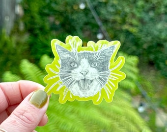 Meow Cat Sticker | Glossy