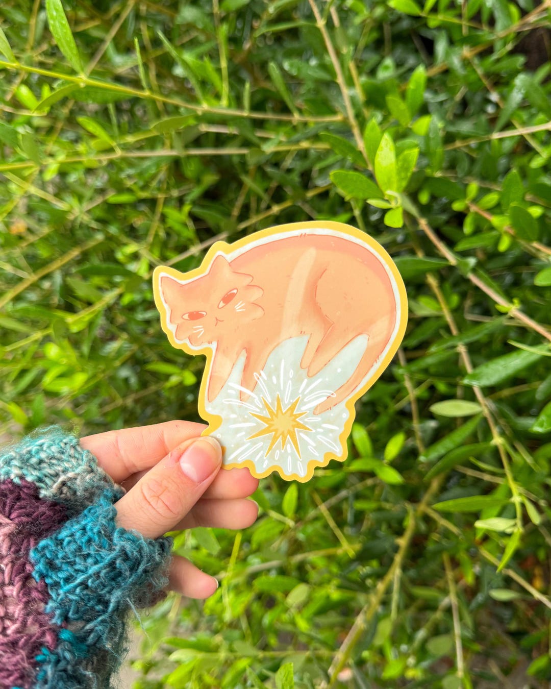 Star Cat Jumbo Sticker | Matte - Etsy