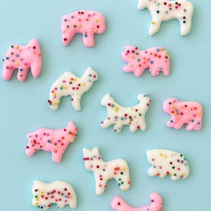 CIRCUS ANIMAL COOKIE 3D Resin Wall Art • Set of 6 • Kawaii Kitsch Decor • Pastel Cookie Sculptures • Optional Magnets • Dopamine Decor