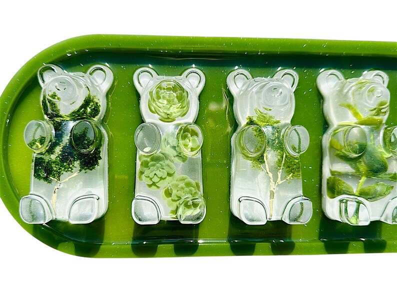 Nature Plants Gummy Bear Resin 3d Wall Art / Greenery/ Eucalyptus