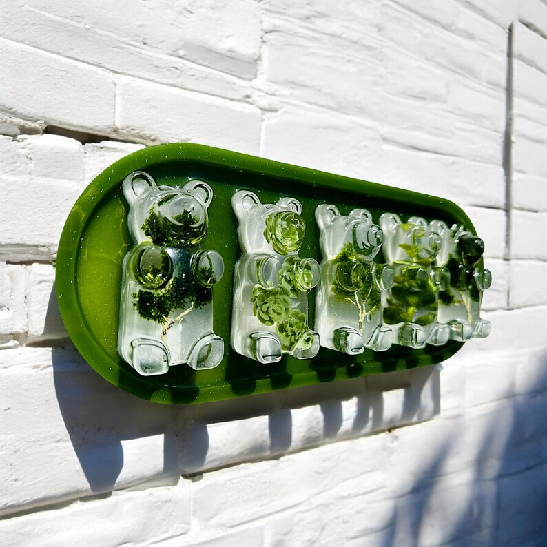 Nature Plants Gummy Bear Resin 3d Wall Art / Greenery/ Eucalyptus
