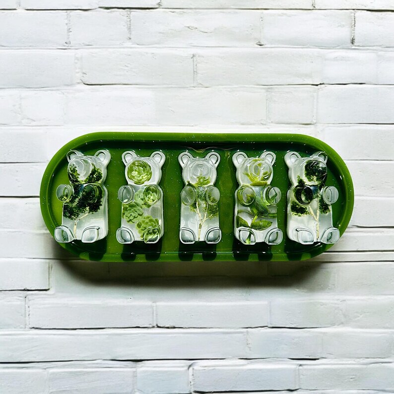 Nature Plants Gummy Bear Resin 3d Wall Art / Greenery/ Eucalyptus