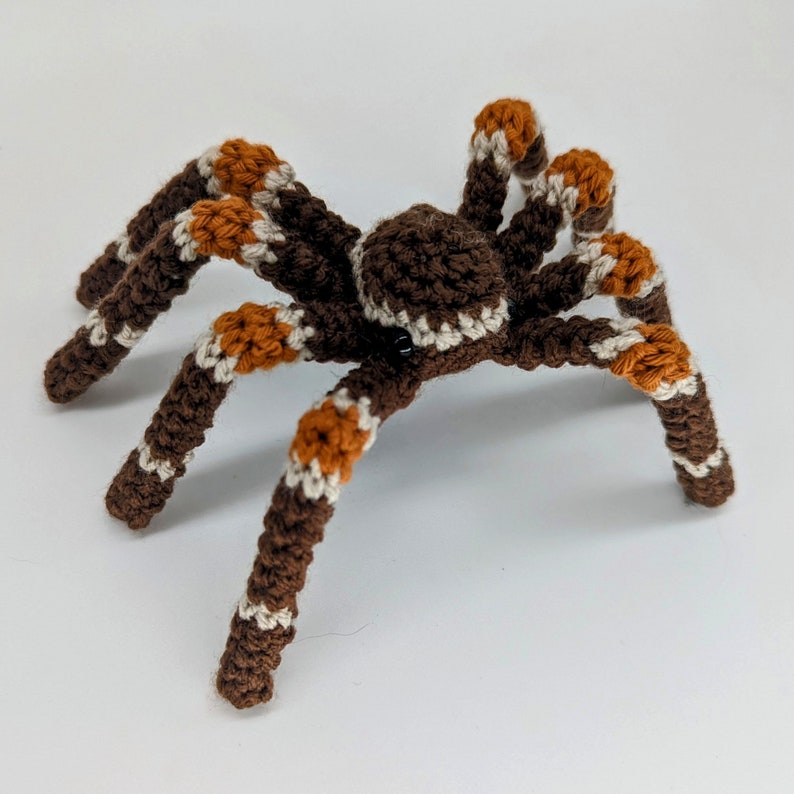 Craig l'araignée Patron au crochet PDF Décoration d'Halloween image 6