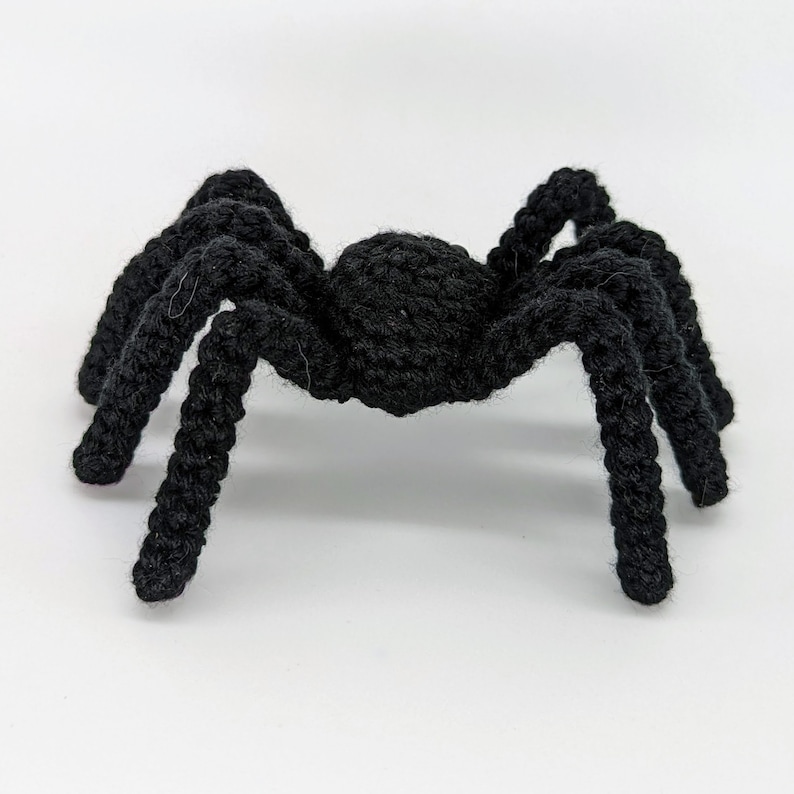 Craig l'araignée Patron au crochet PDF Décoration d'Halloween image 3