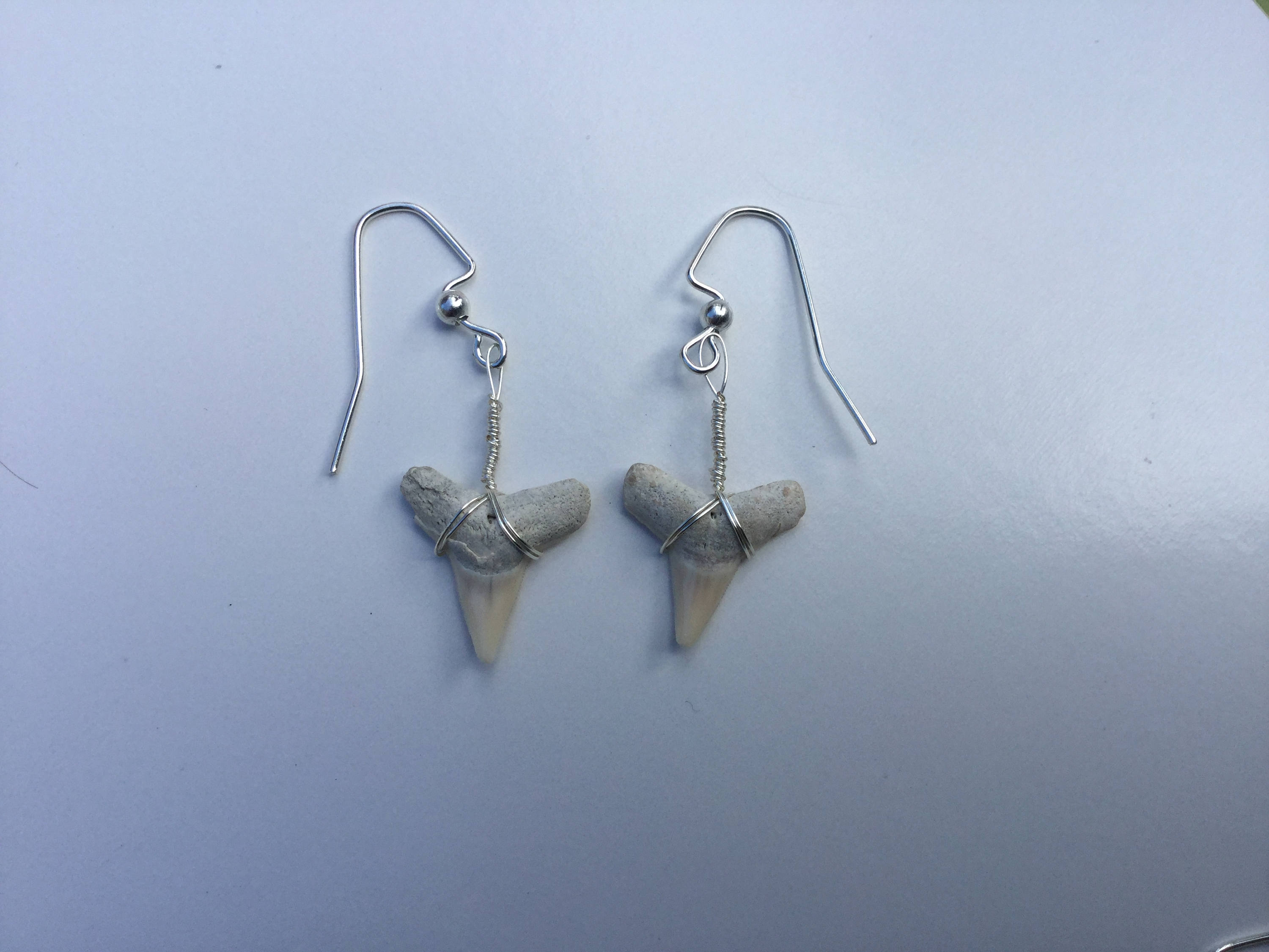 Fossilized Shark Tooth Earrings, Pair - Etsy Hong Kong