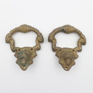 Può includere: Un paio di tiretti per cassetti in metallo dorato decorato con un design decorativo. I tiretti hanno una maniglia a forma di anello e un motivo floreale dettagliato.