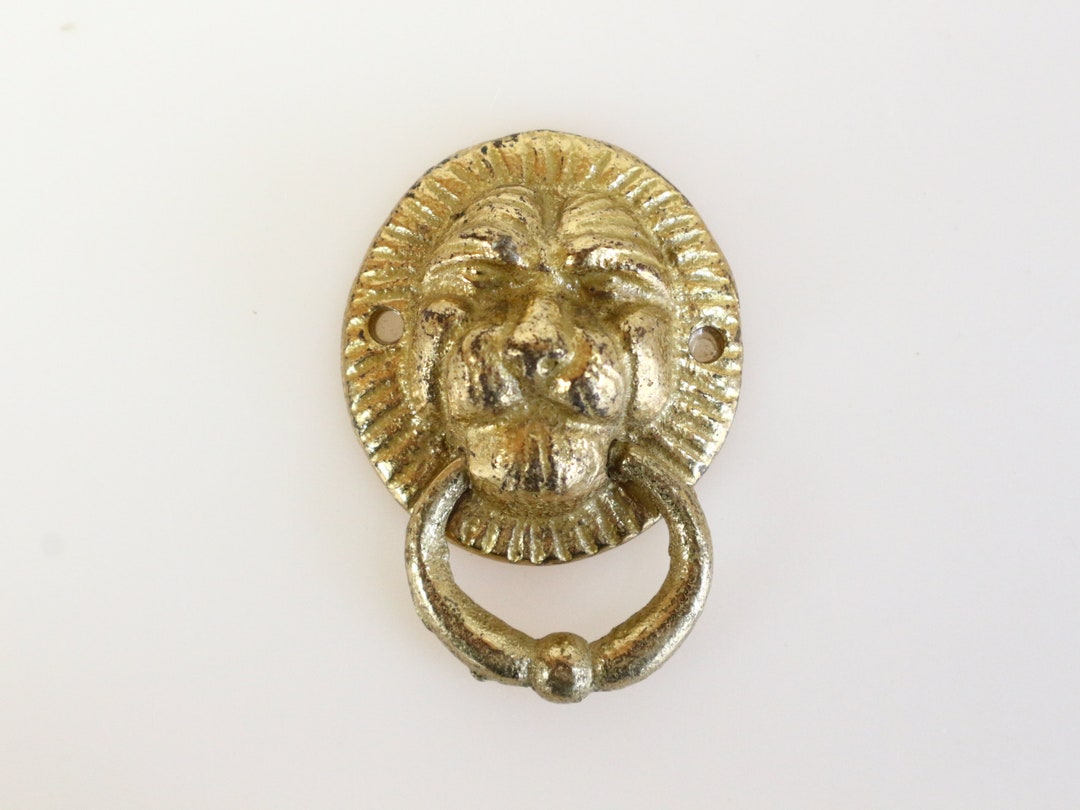 One Brass Lion Head Lions Head Drawer Pull or Pull. Etsy UK