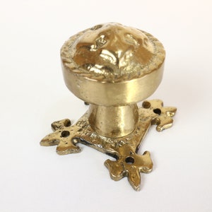 Op de afbeelding: Een gouden deurklink met een decoratief ontwerp met een leeuwenkop en een vierkante basis met vier sierlijke fleur-de-lis.
