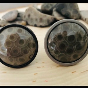 May include: Two round, decorative, cabochon style buttons with a gray and white fossilized coral design. One button has a black metal setting and the other has a silver metal setting.