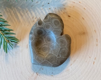 Worry Stone, Petoskey Stone, Mitten