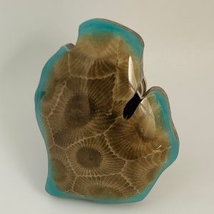 May include: A brown and tan fossilized coral ring with a turquoise blue epoxy resin border.