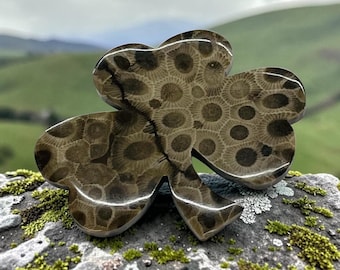 Petoskey Stone Shamrock Magnet.  Large