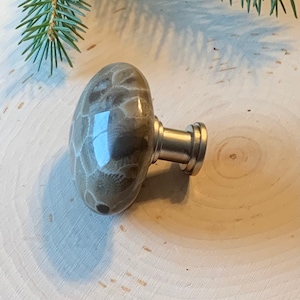 May include: A cabinet knob featuring a polished, rounded stone head with a mottled gray and white fossilized pattern, attached to a smooth, cylindrical silver-toned metal base. The stone surface has a glossy finish that reflects light.