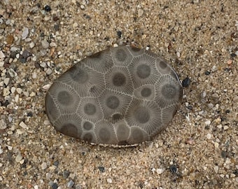 Petoskey Stone Worry Stone