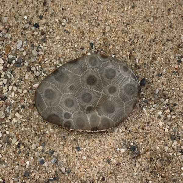 Petoskey Stone Worry Stone - Gifts Under 20